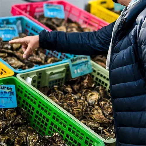 Marché des huitres à Le Tour-du-Parc