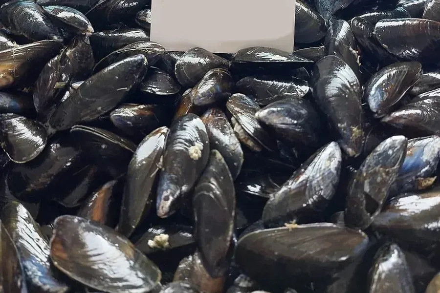 Produits de la mer à Le Tour-du-Parc