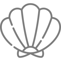 Coques de La Baule